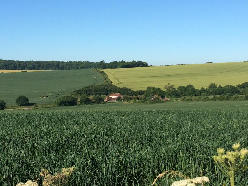 Shepherds Barn West Dean Buitenkant foto